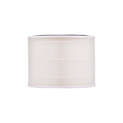 Evvoli, Replacement Hepa Filter For evvoli Air Purifier EVAP27WF, Filter 27