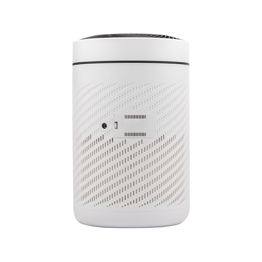 Evvoli Air Purifier With True HEPA filter For Home
