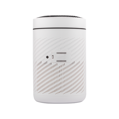 Evvoli Air Purifier With True HEPA filter For Home