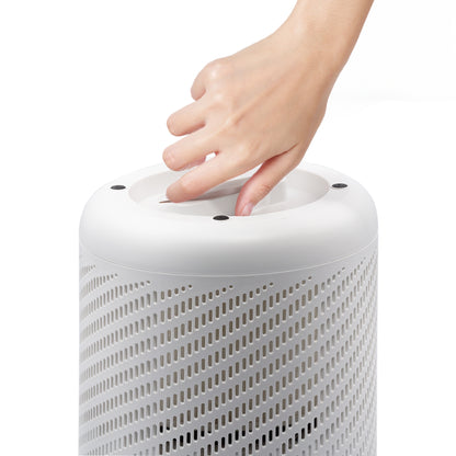 Evvoli Air Purifier With True HEPA filter For Home