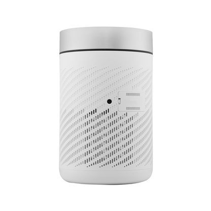 Evvoli Air Purifier With True HEPA Filter And UV Technology